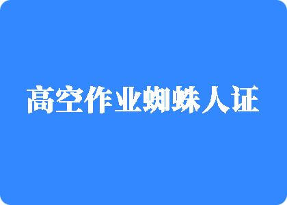 我要看肏屄的片子高空作业蜘蛛人证